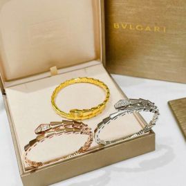 Picture of Bvlgari Bracelet _SKUBvlgariBracelet08cly88749